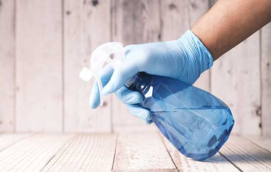 Pest control and home hygiene advice