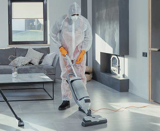Pest prevention and hygiene project